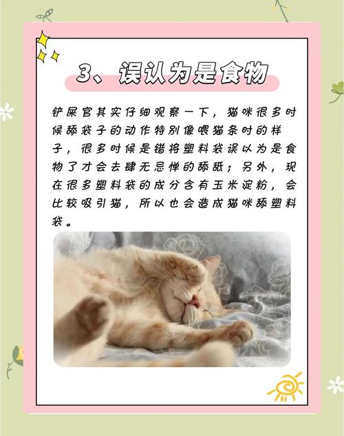 家里猫咪为什么喜欢舔塑料袋?
