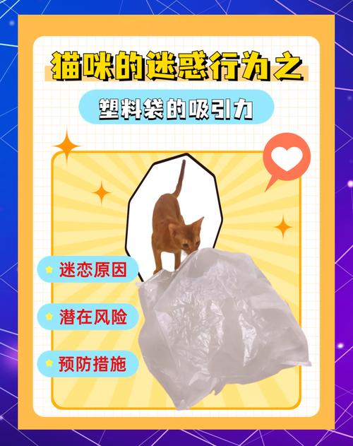猫咪为什么喜欢舔塑料袋