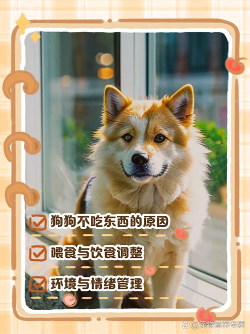 为什么我家狗狗不吃东西???