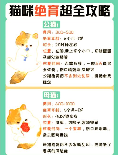 猫被割蛋蛋后恨主人吗