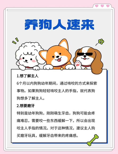 狗狗什么情况下会咬人