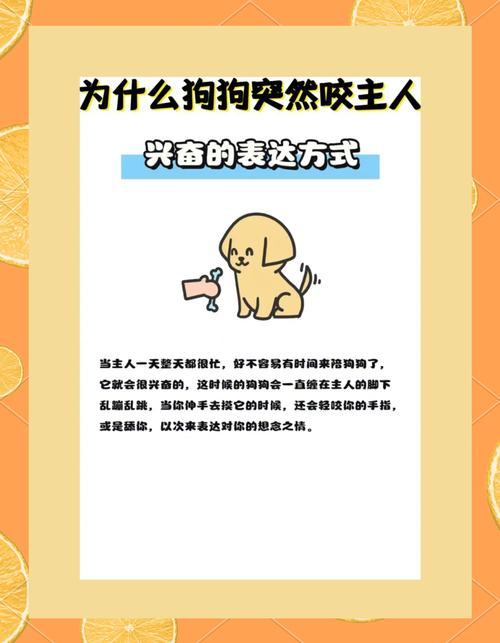 从小养的狗会咬主人吗