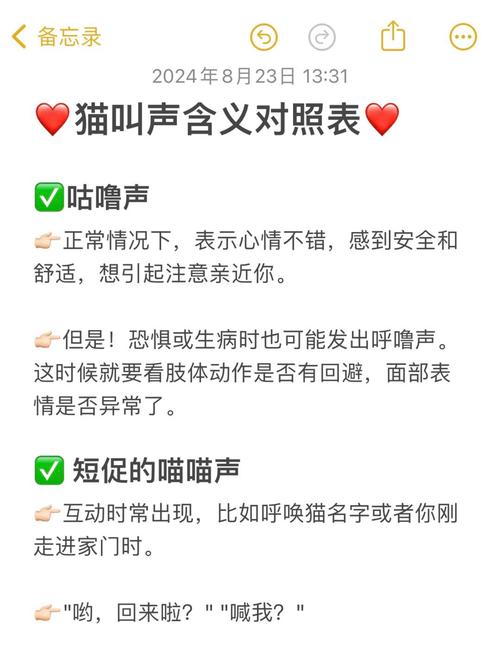 猫叫是什么意思