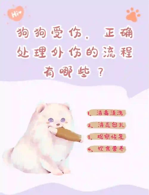 狗狗腿蹭破皮后不长毛了怎么办?