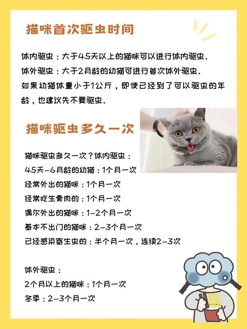 猫咪什么时候驱虫