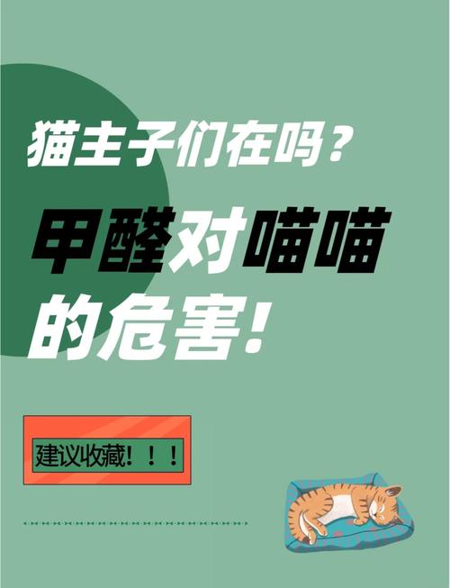 甲醛对猫咪健康会有什么影响?