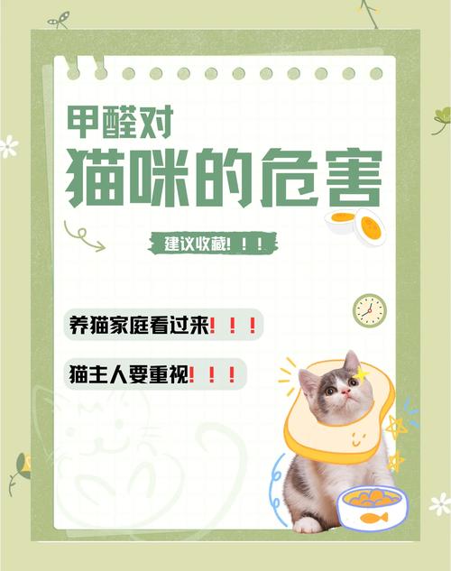 84对猫咪有毒吗