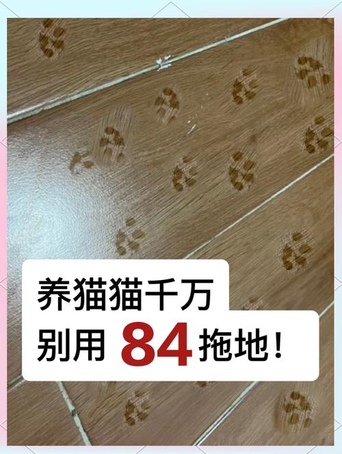 猫咪吸入甲醛的症状