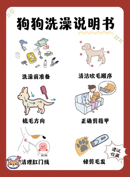 狗狗感冒为什么不能洗澡