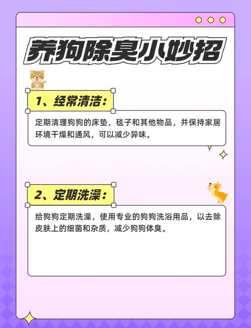 如何去除狗狗身上的味道