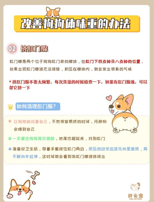 如何去除家中狗味道