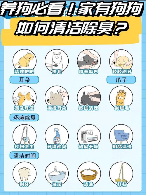 怎么才能去除狗狗身上的味道?