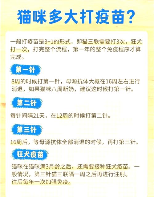 小猫多大就能打针了?