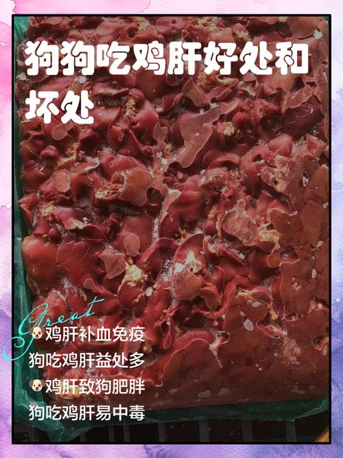 狗狗生吃了鸭肝会怎么样?