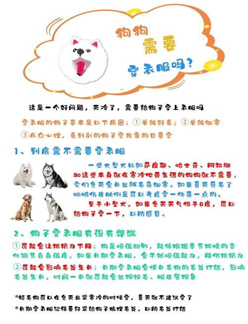 冬天要给狗狗穿上衣服吗?