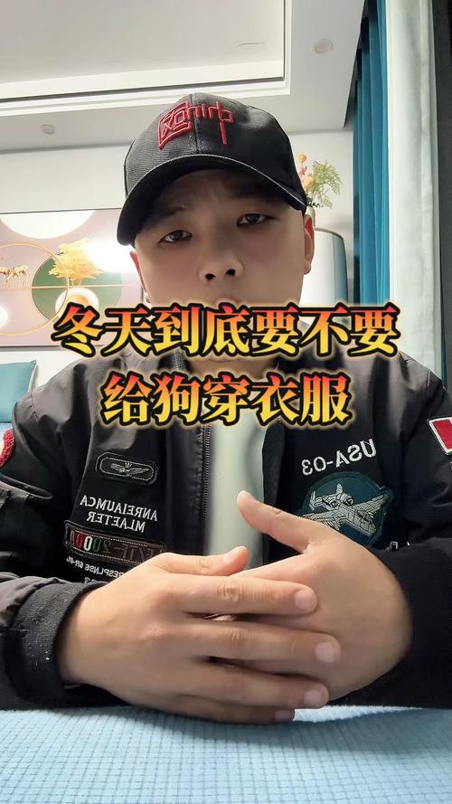 冬天狗狗需要穿衣服吗?