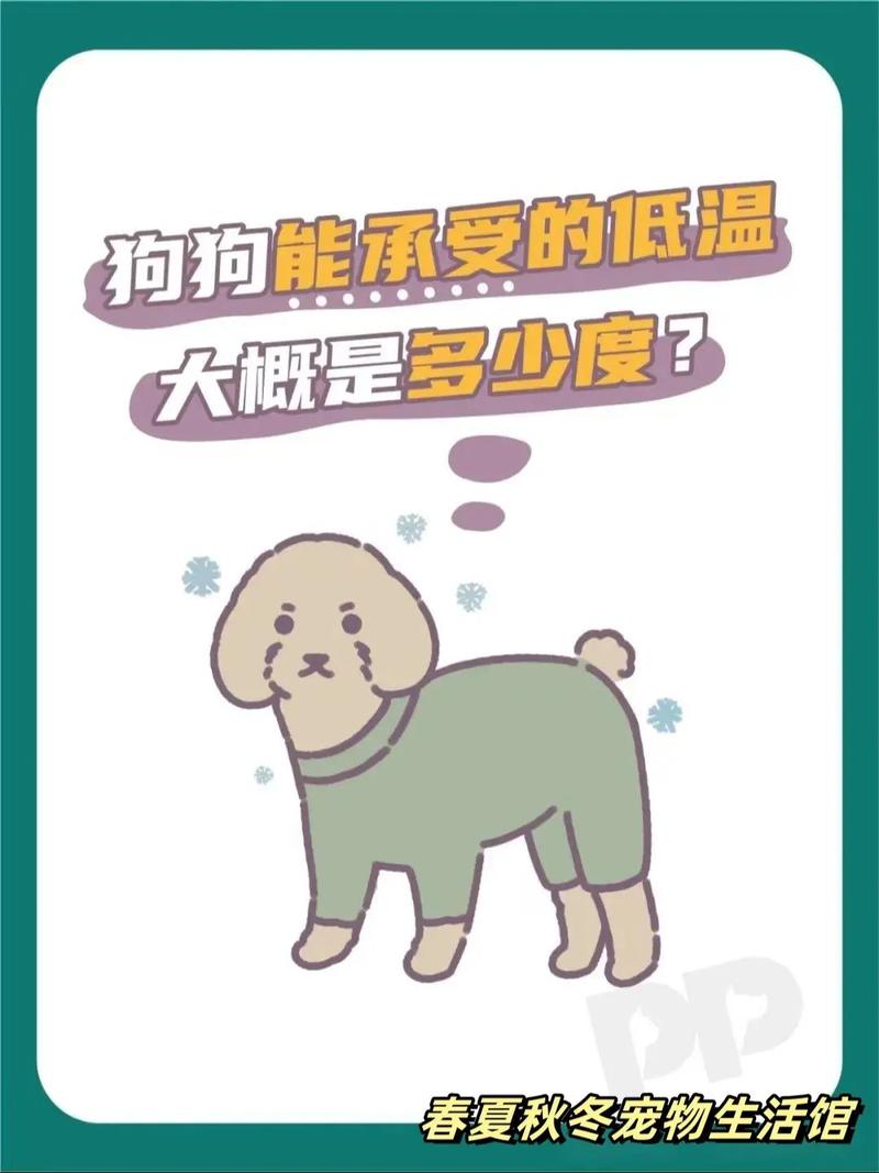 小狗到了冬天要穿衣服吗?