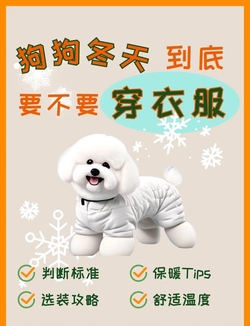 冬天遛狗需要给狗狗穿衣服吗?为什么?