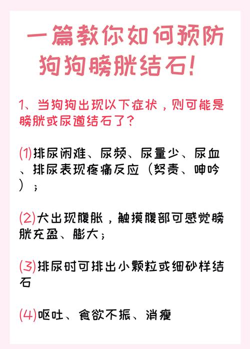 狗狗得了尿结石怎么办?
