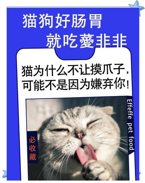 猫咪不喜欢让人碰它们的爪子的可能原因是什么?