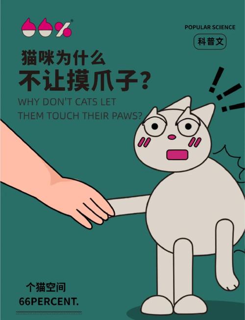 猫咪不让摸爪子怎么回事