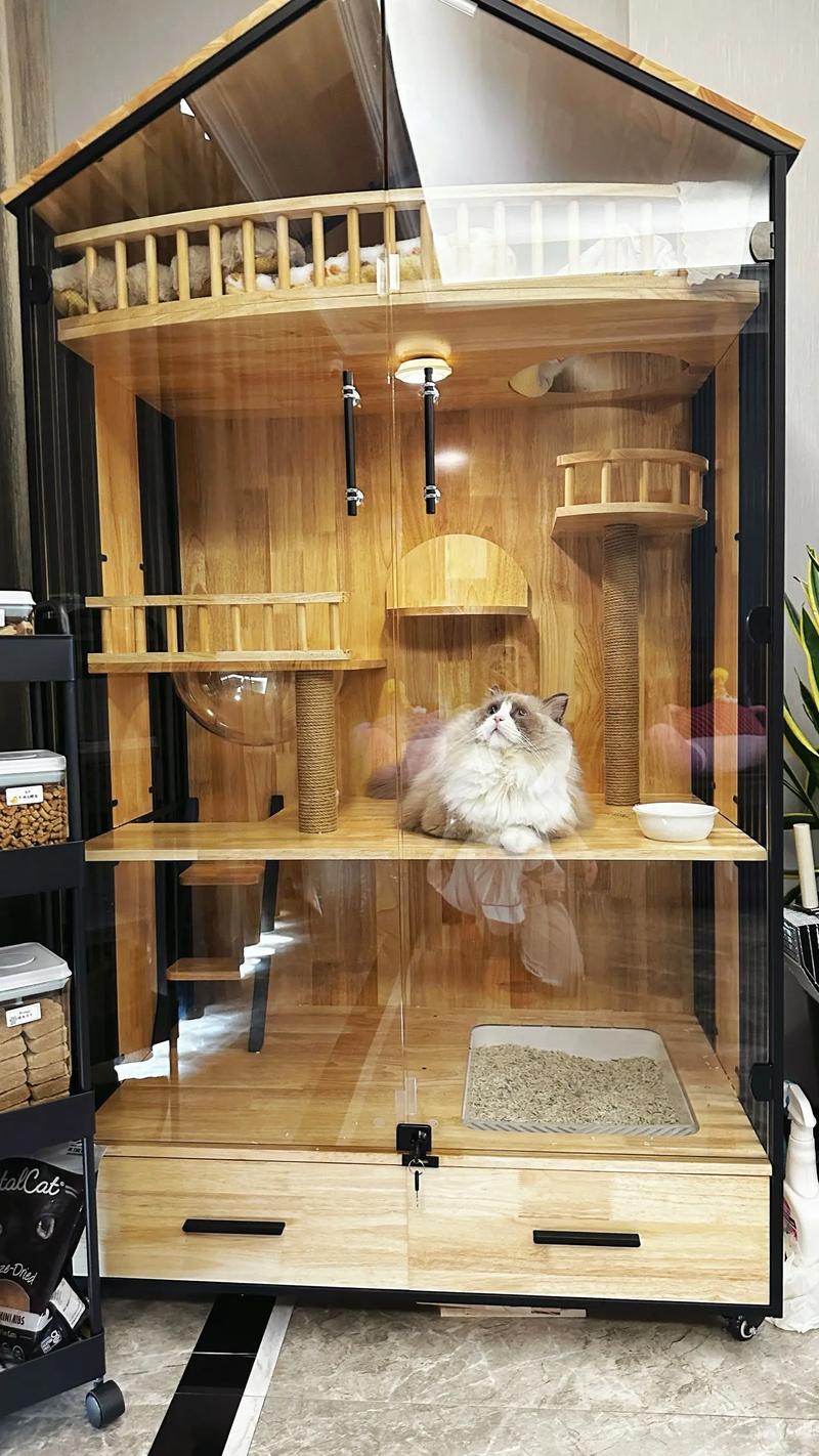 猫喜欢什么样的窝