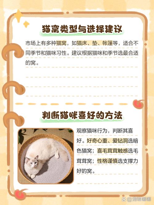 猫咪喜欢什么材质的猫窝?为什么?