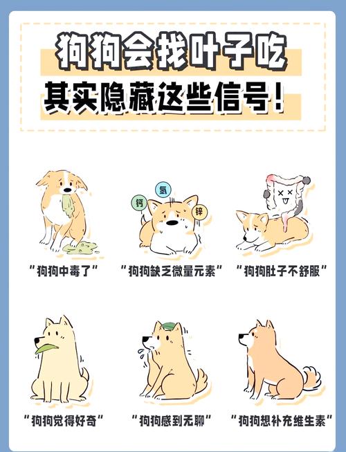 为什么狗狗乱吃叶子