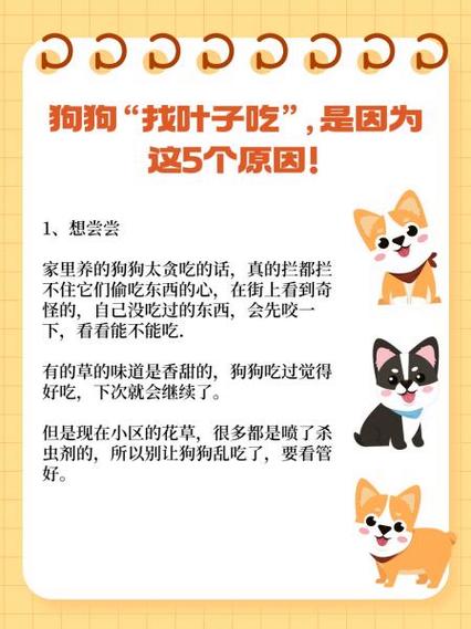 狗狗吃叶子是什么原因?
