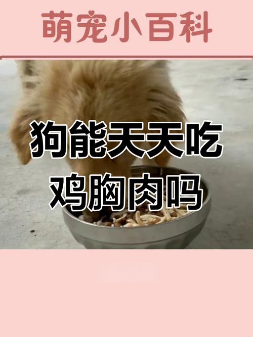 狗可以天天吃鸡胸肉吗?