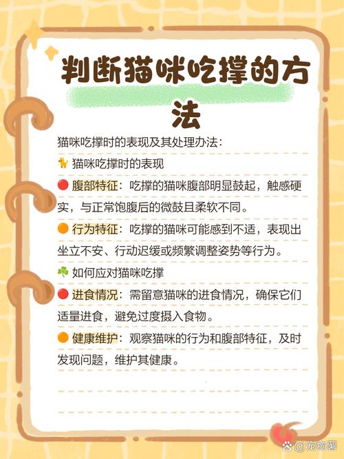 怎么判断猫咪吃撑了