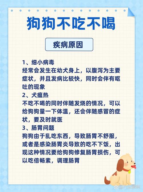 狗狗为什么不喝稀饭