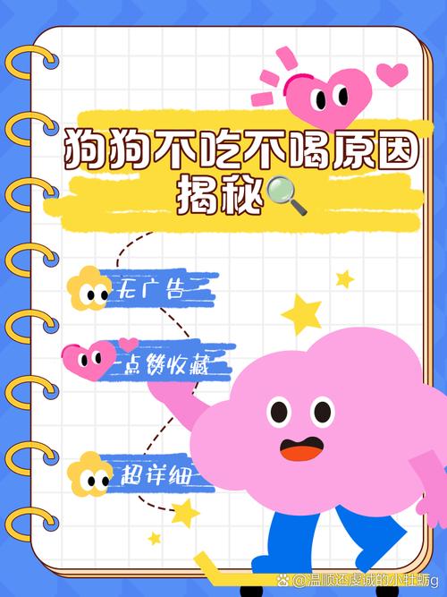 狗狗能不能吃稀饭