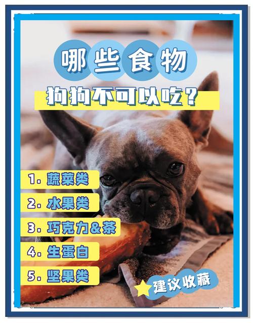 每天给狗狗喂稀饭可以吗?会有什么影响?