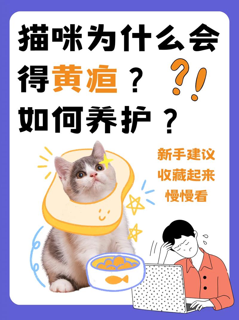 为什么猫咪会长黄疸呢