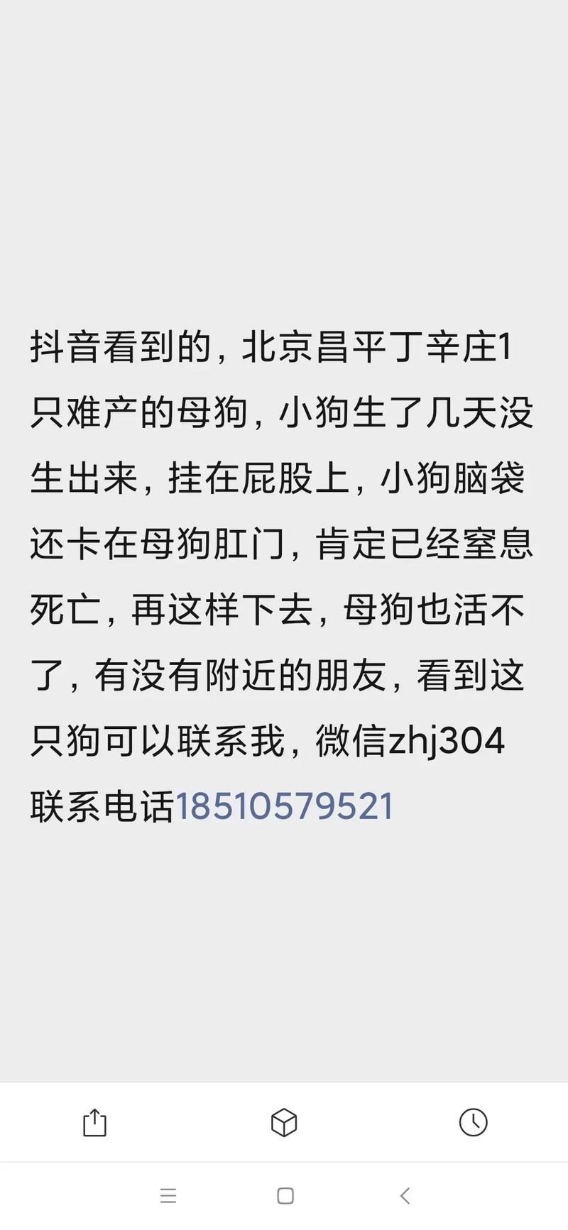 母狗多大不能生小狗呢