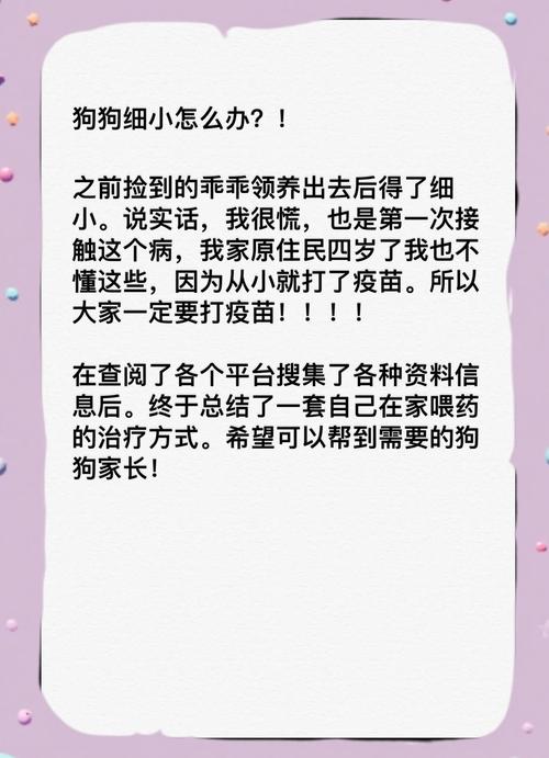 狗狗得细小怎么在家治疗