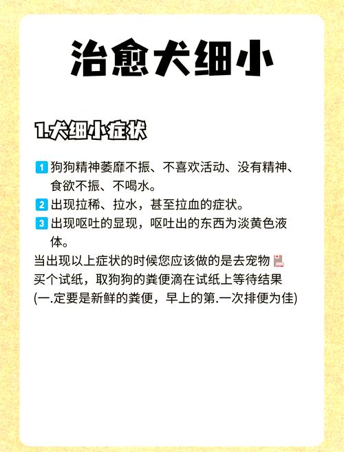 狗狗得了细小怎么治?