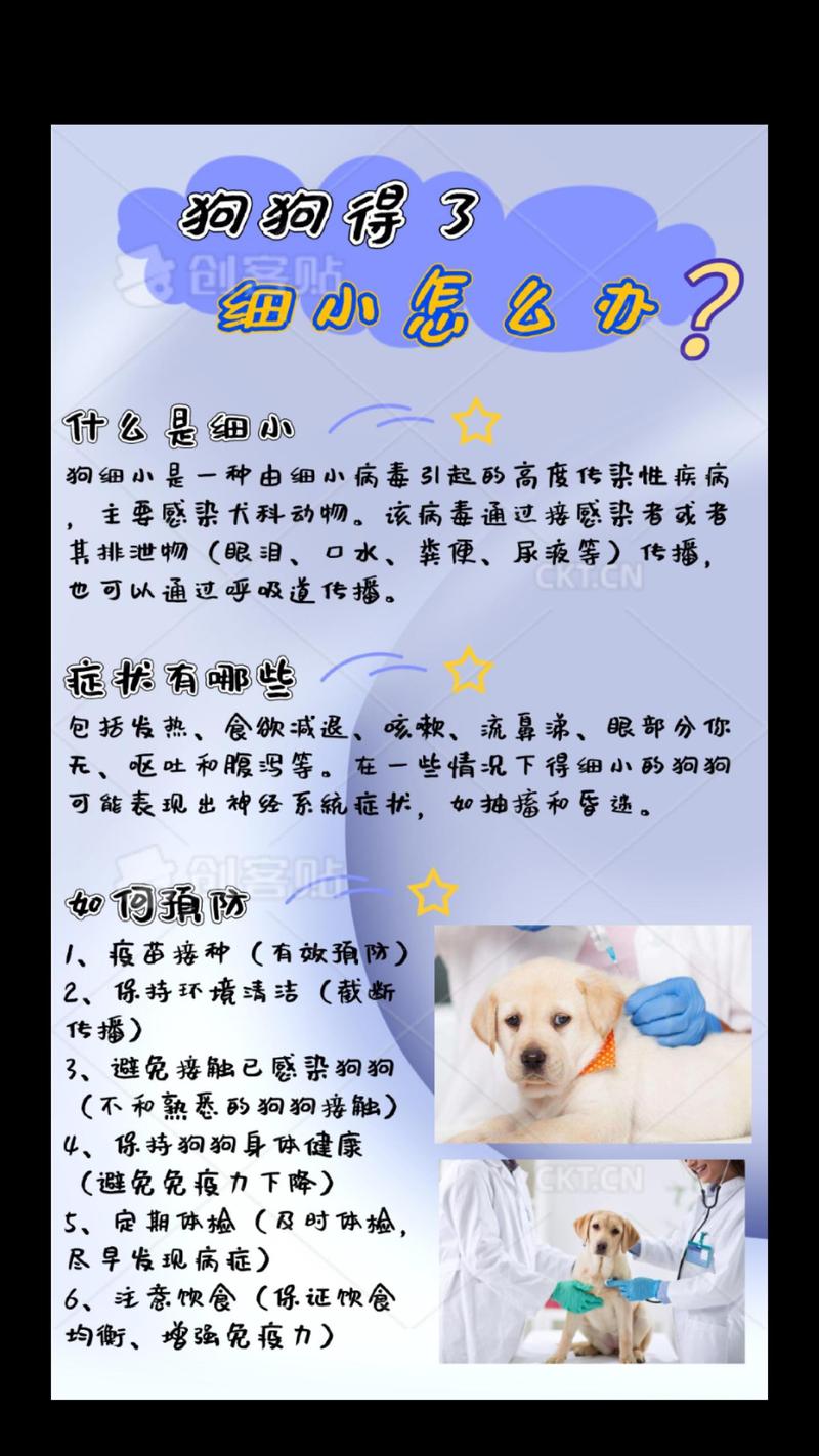 狗狗细小治疗方法(狗狗细小自己治疗方法)