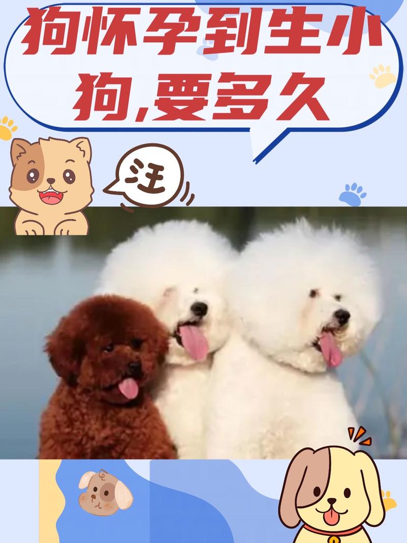 狗狗下崽间隔多久生下一个