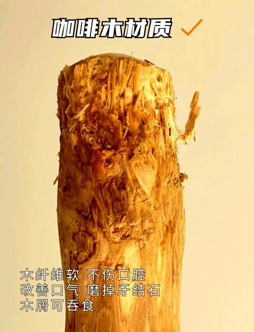 狗狗多大可以吃磨牙棒?如何选取?