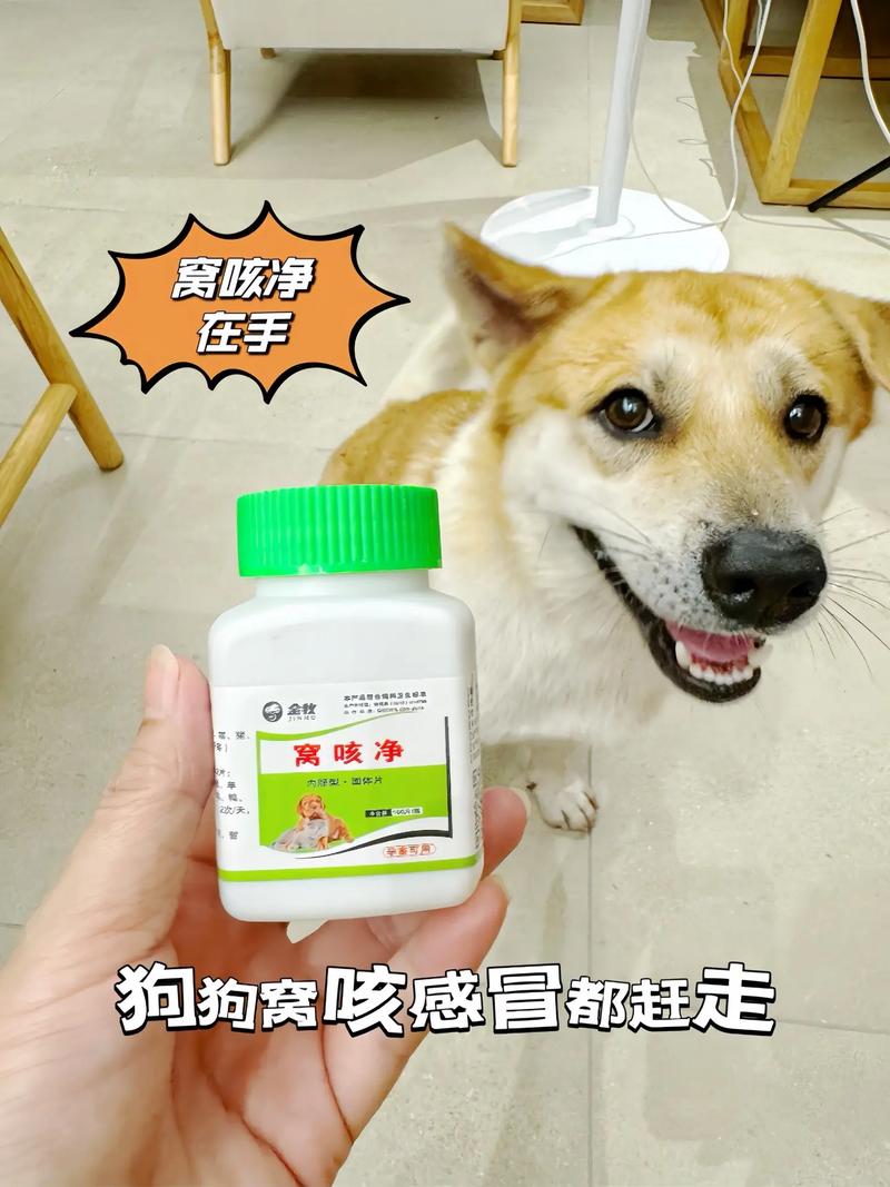 狗感冒了吃什么药