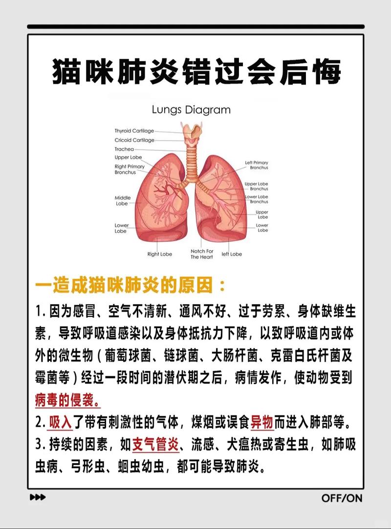 猫咪咳嗽流鼻涕怎么办?