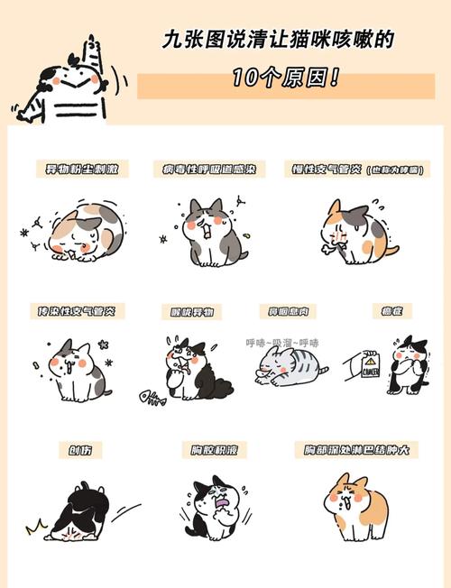 猫咪有咳嗽流鼻涕现象,是怎么了?