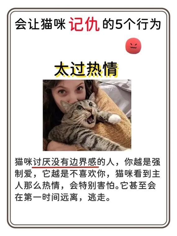 猫记仇怎么报复主人