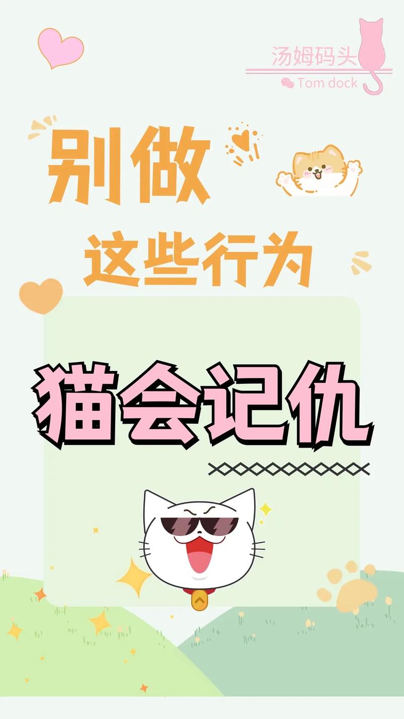 猫咪挨打后记仇,怎么办?