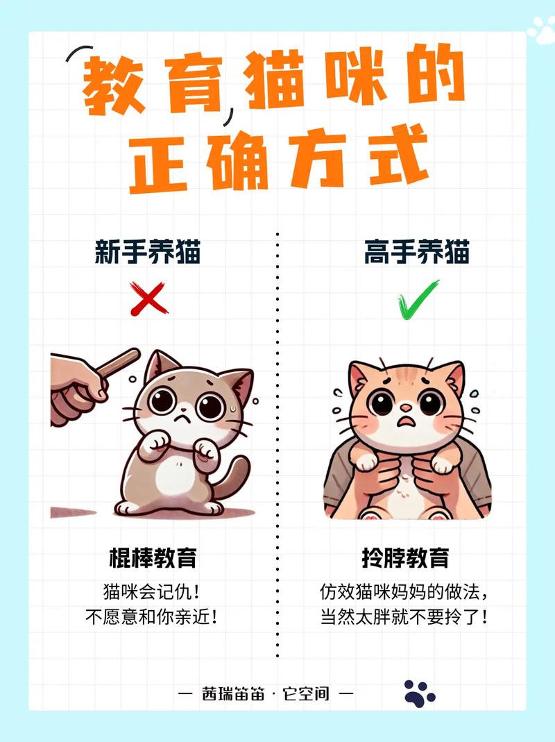 教育猫咪后它记仇该怎么办?