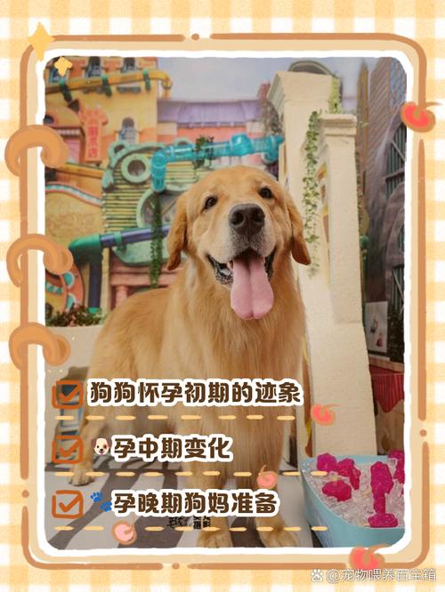 狗狗怀孕20天最明显的征兆