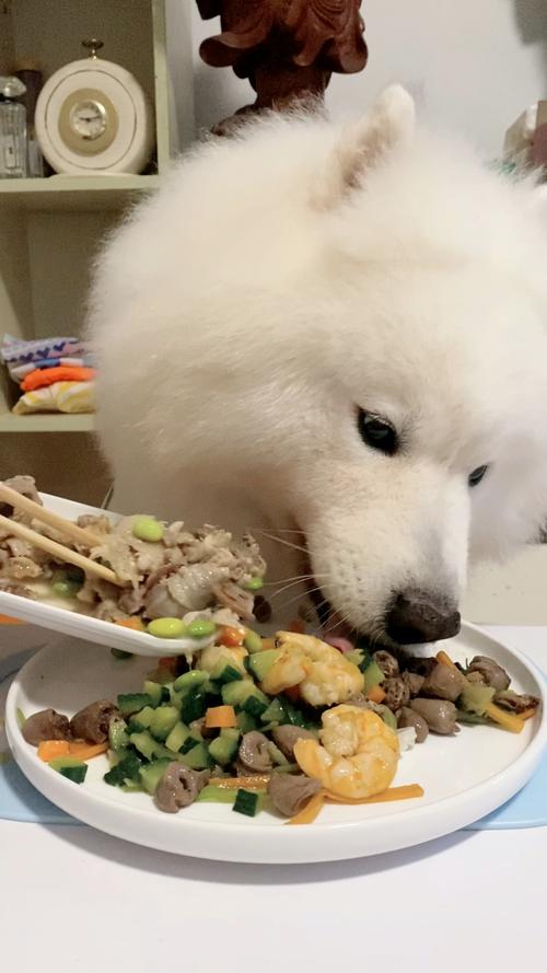 有鸡蛋和米饭咋给狗狗吃