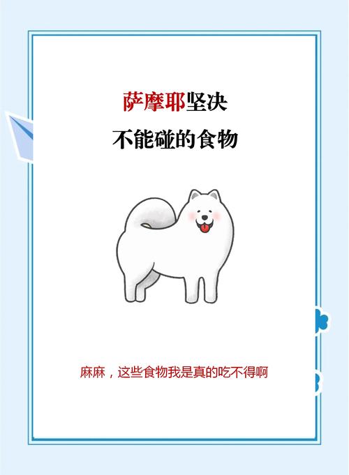 萨摩耶能不能吃蛋炒饭(萨摩耶可以吃米饭吗)